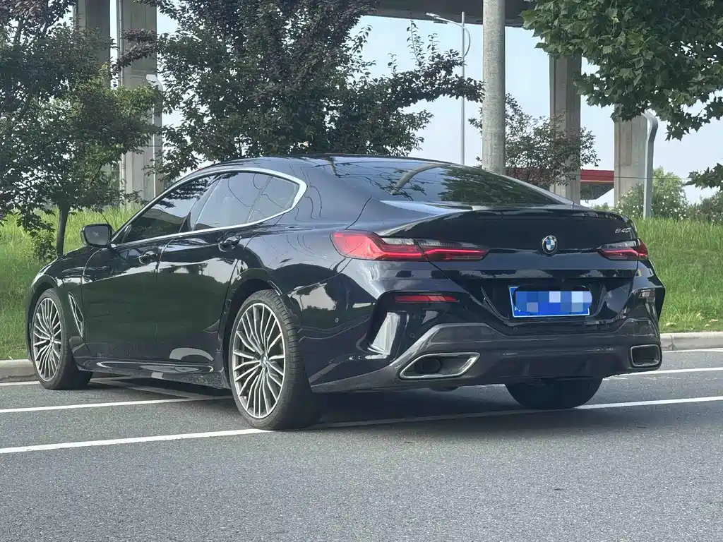 BMW 8 Series — миниатюра 4