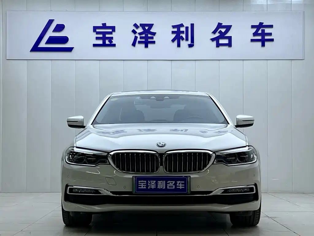BMW 5 SERIES NEW ENERGY