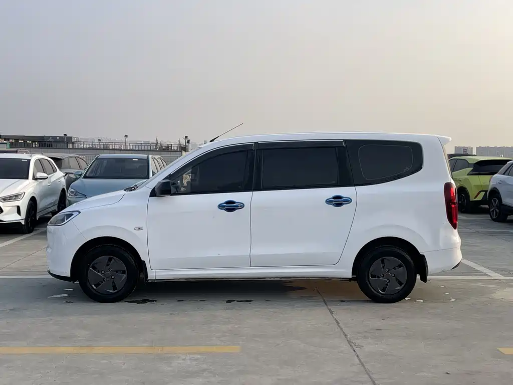 WULING WULING HONGGUANG NEW ENERGY