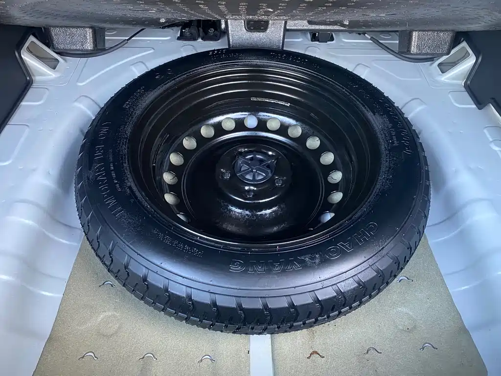 KIA LION PLATINUM EXPANDS THE WORLD