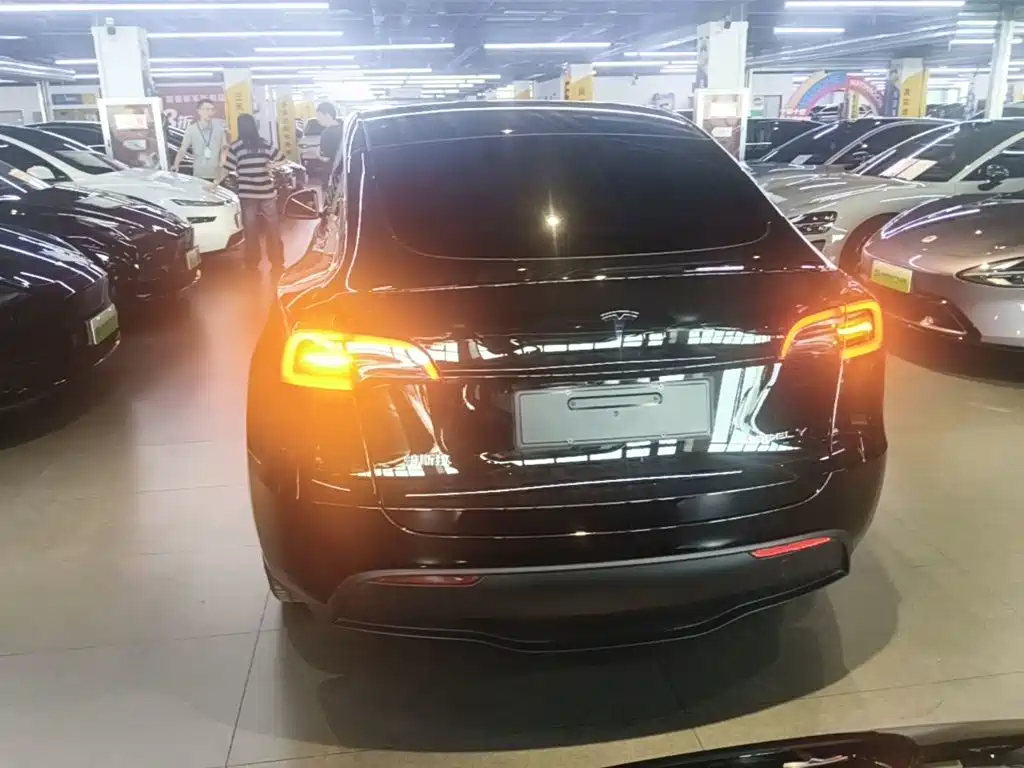 Tesla Model Y — миниатюра 6