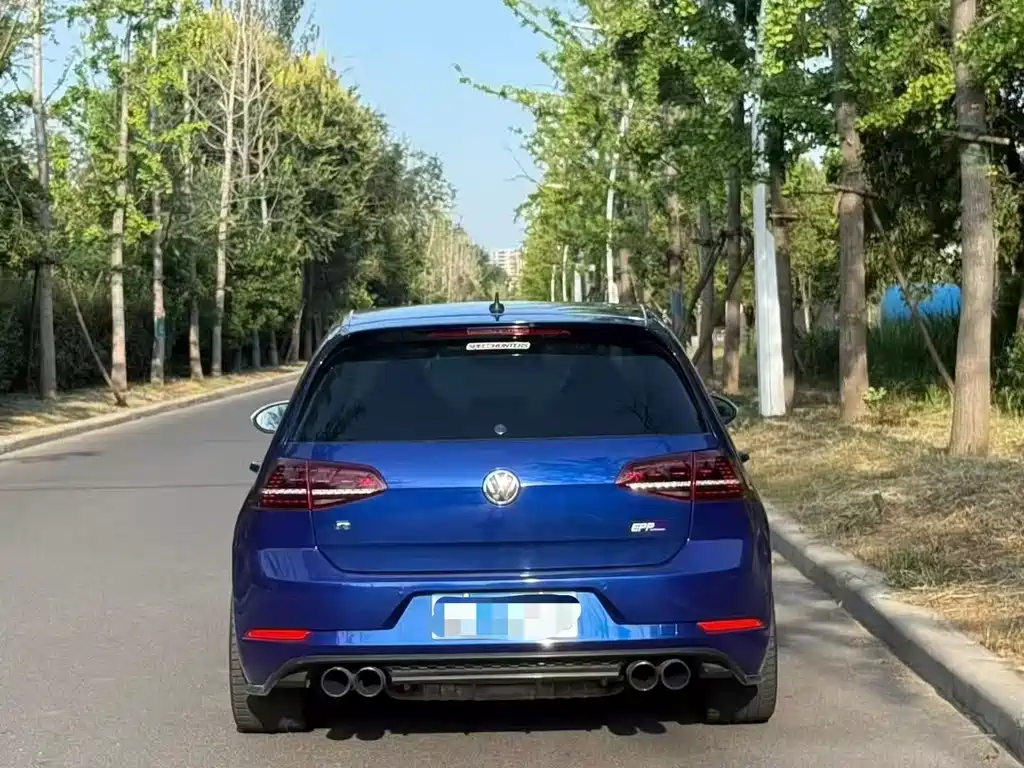 Volkswagen Golf (Import) — миниатюра 8