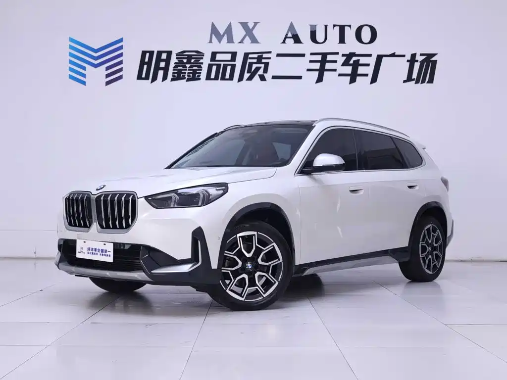 BMW X1 — миниатюра 2