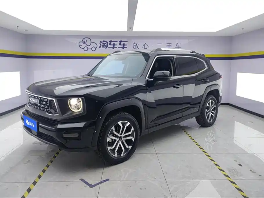 Haval 哈弗大狗 PLUS 2023