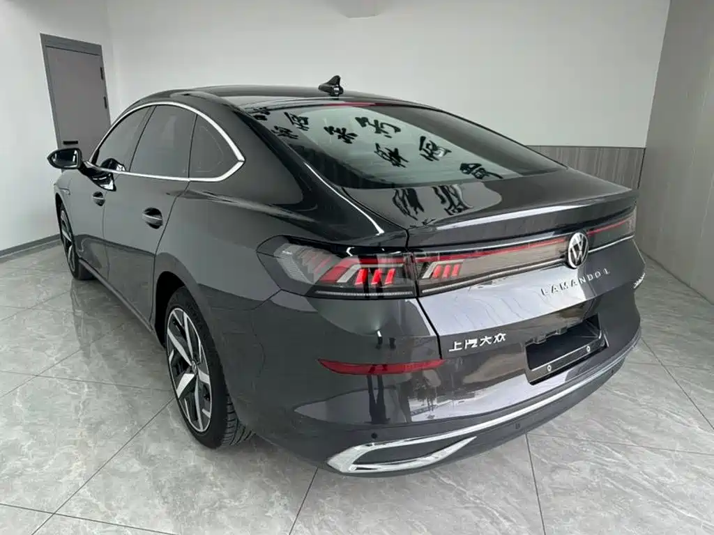 Volkswagen Lamando — миниатюра 4