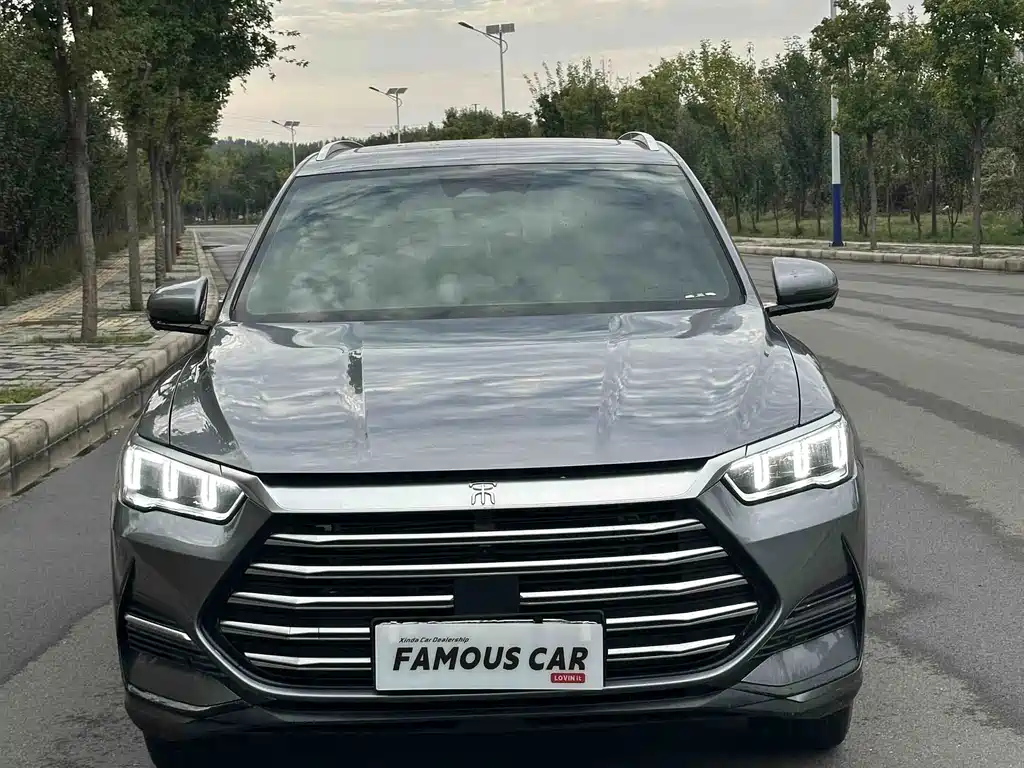 BYD Pro New Energy — миниатюра 2