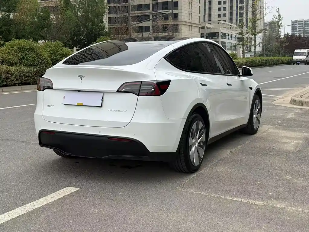 Tesla Model Y — миниатюра 10