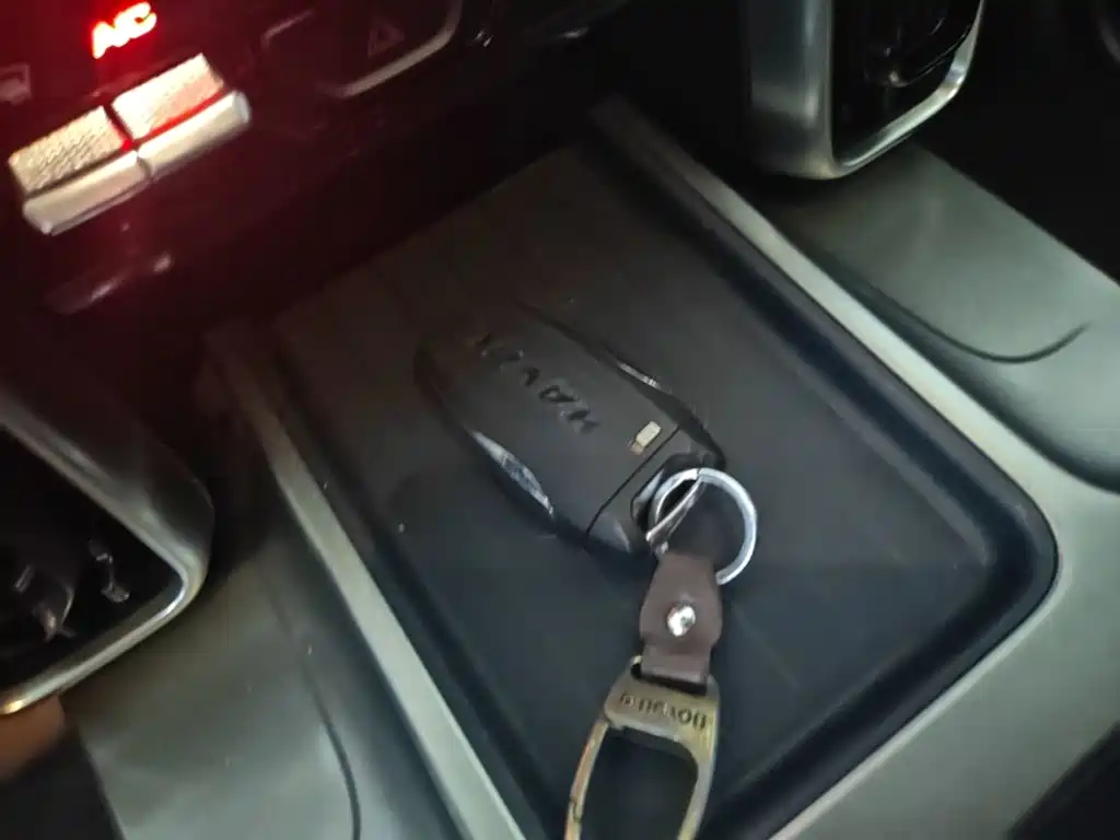 Haval Big Dog — миниатюра 9