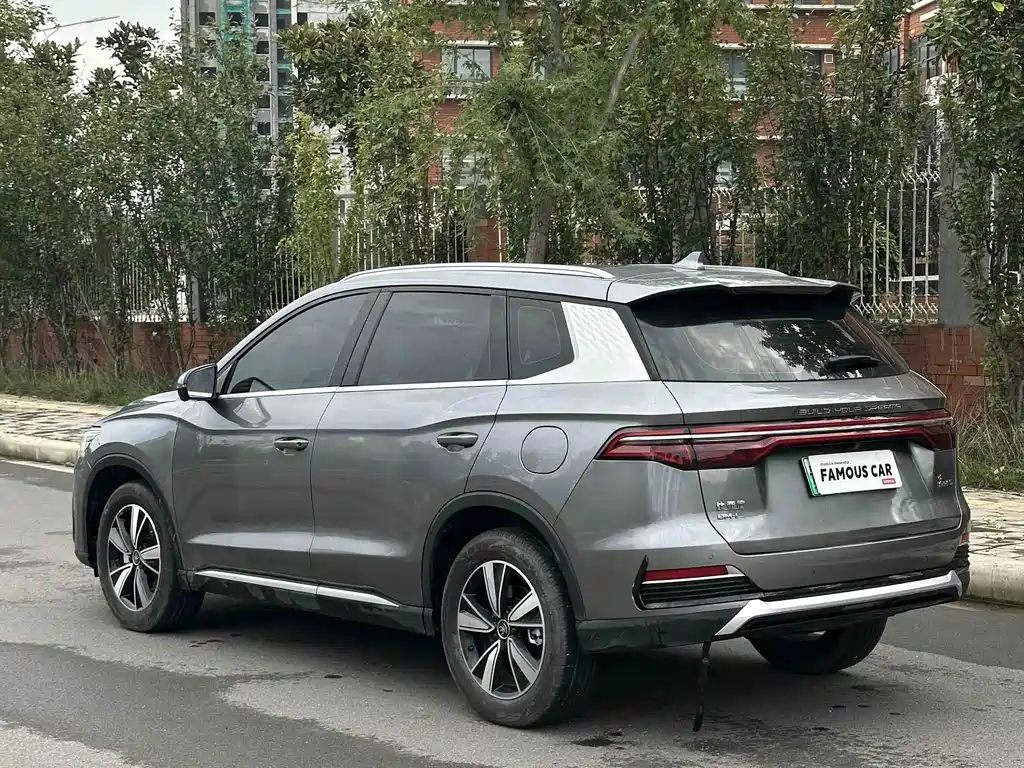 BYD Pro New Energy — миниатюра 4