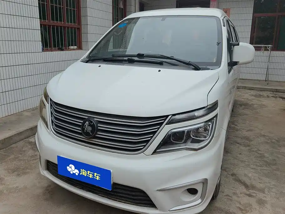Купить Fengxing Lingzhi