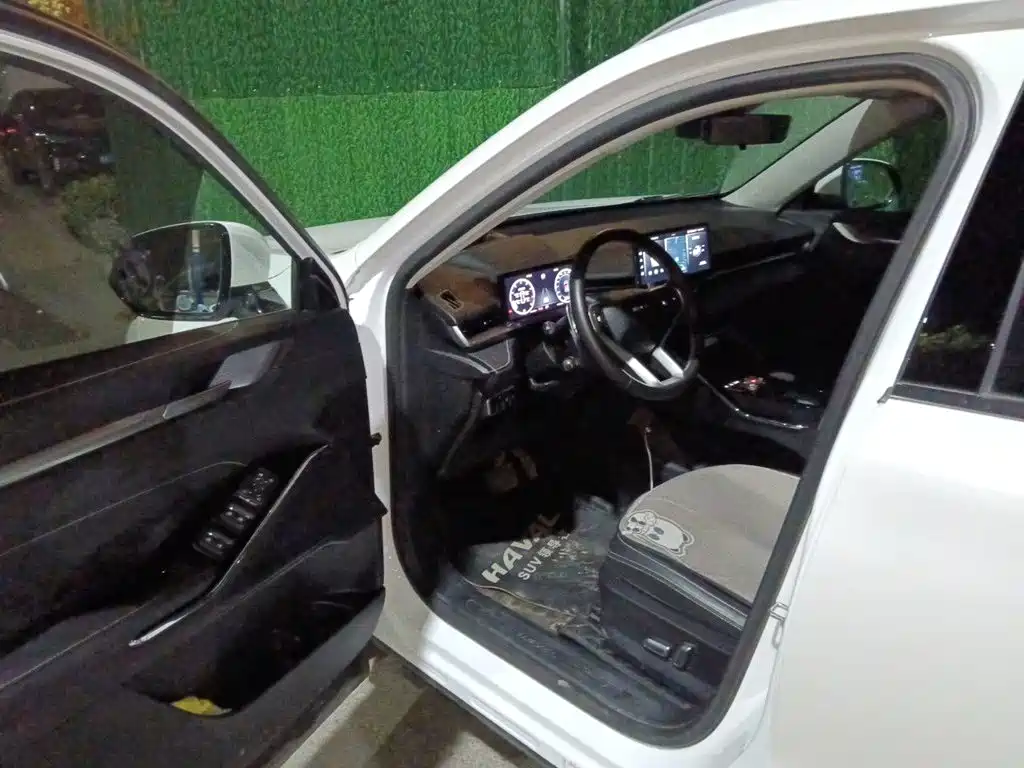 Haval H6 — миниатюра 12