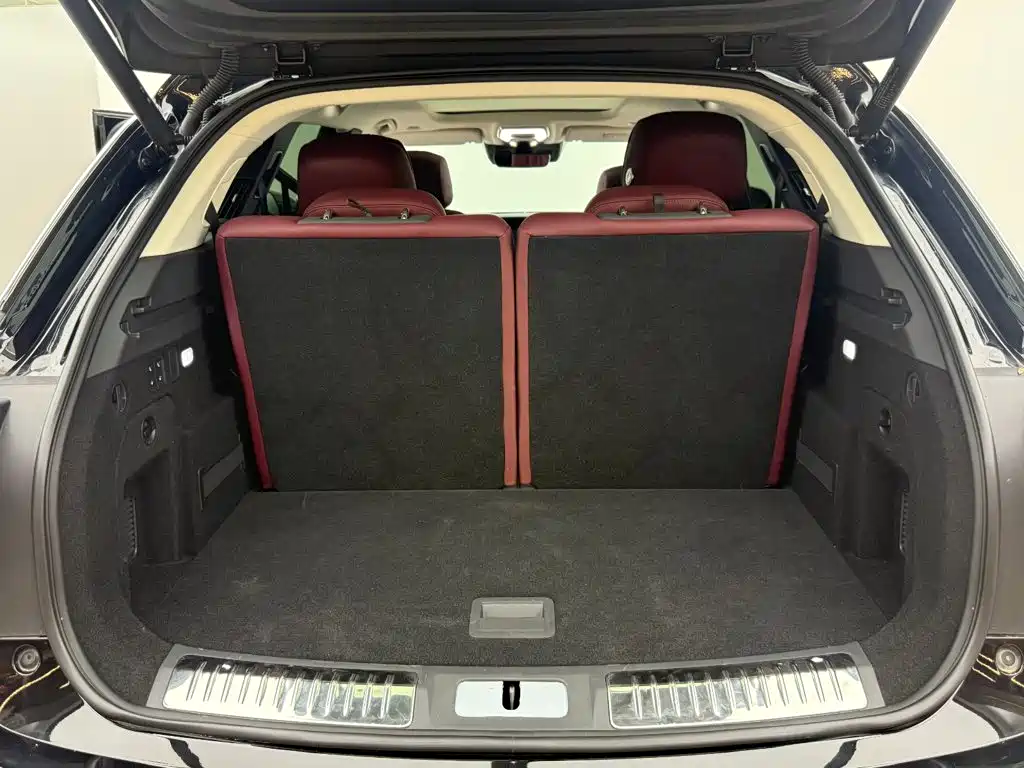 Hongqi Hongqi E-HS9 — миниатюра 6