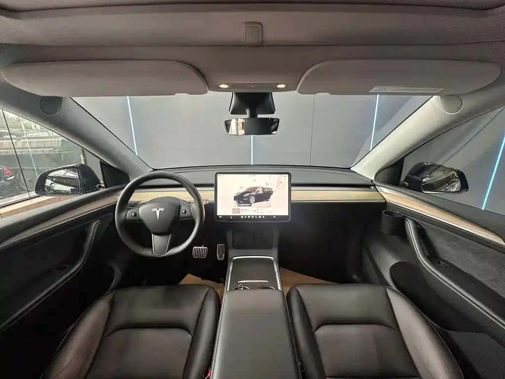 Tesla Model Y — миниатюра 9