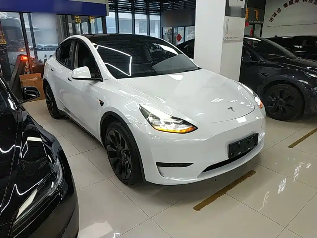 Tesla Model Y — миниатюра 4