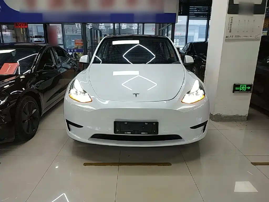 Tesla Model Y — миниатюра 3