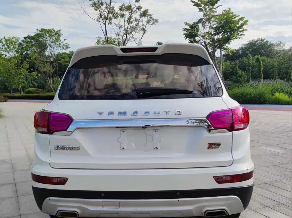 MUSTANG MOTORS MUSTANG T80