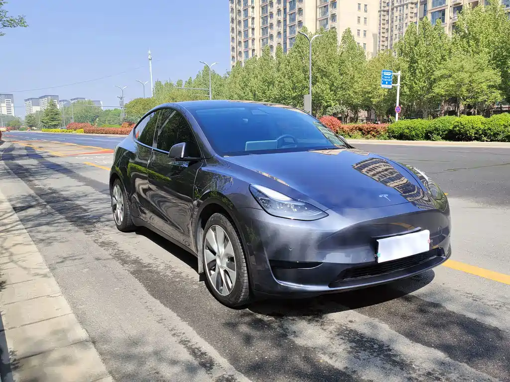 Tesla Model Y — миниатюра 3