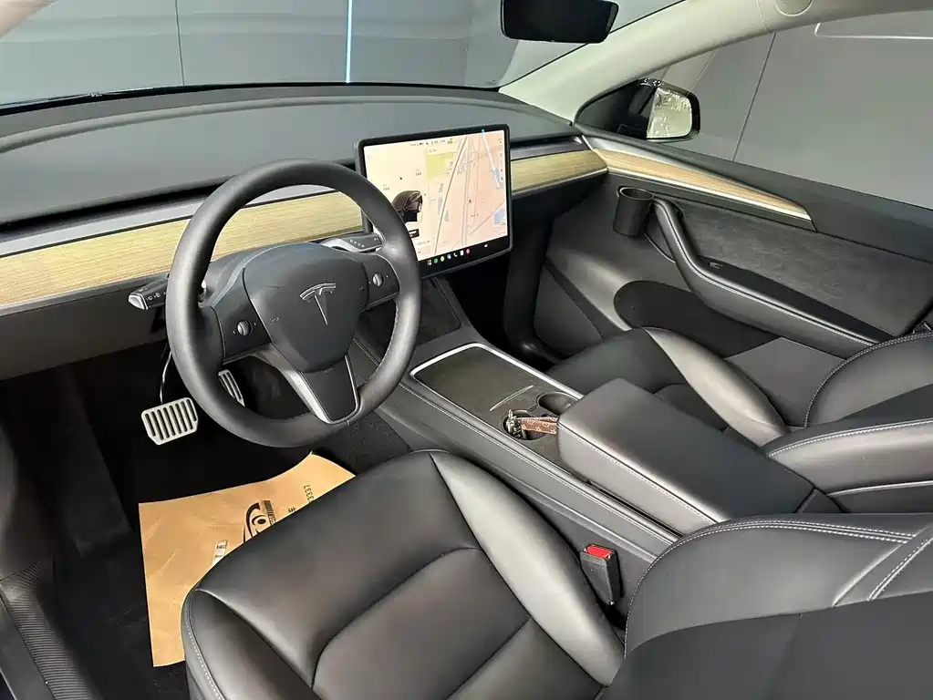 Tesla Model Y — миниатюра 11