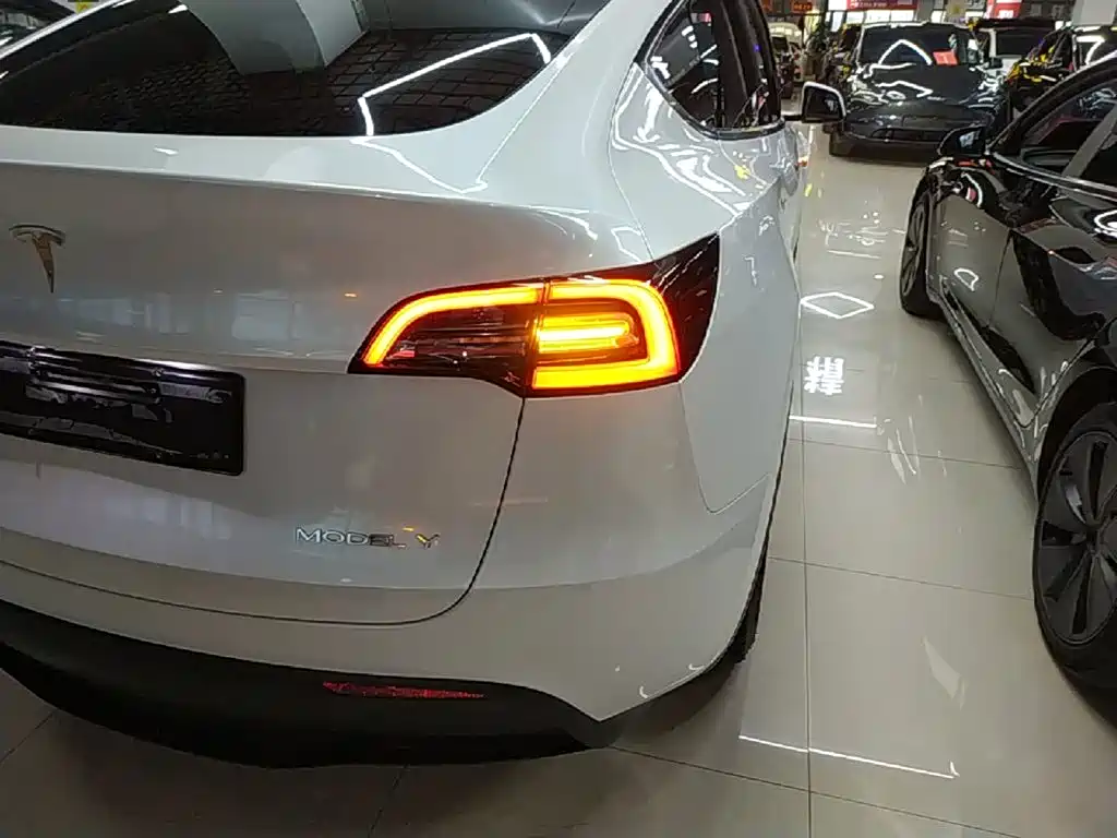 Tesla Model Y — миниатюра 8