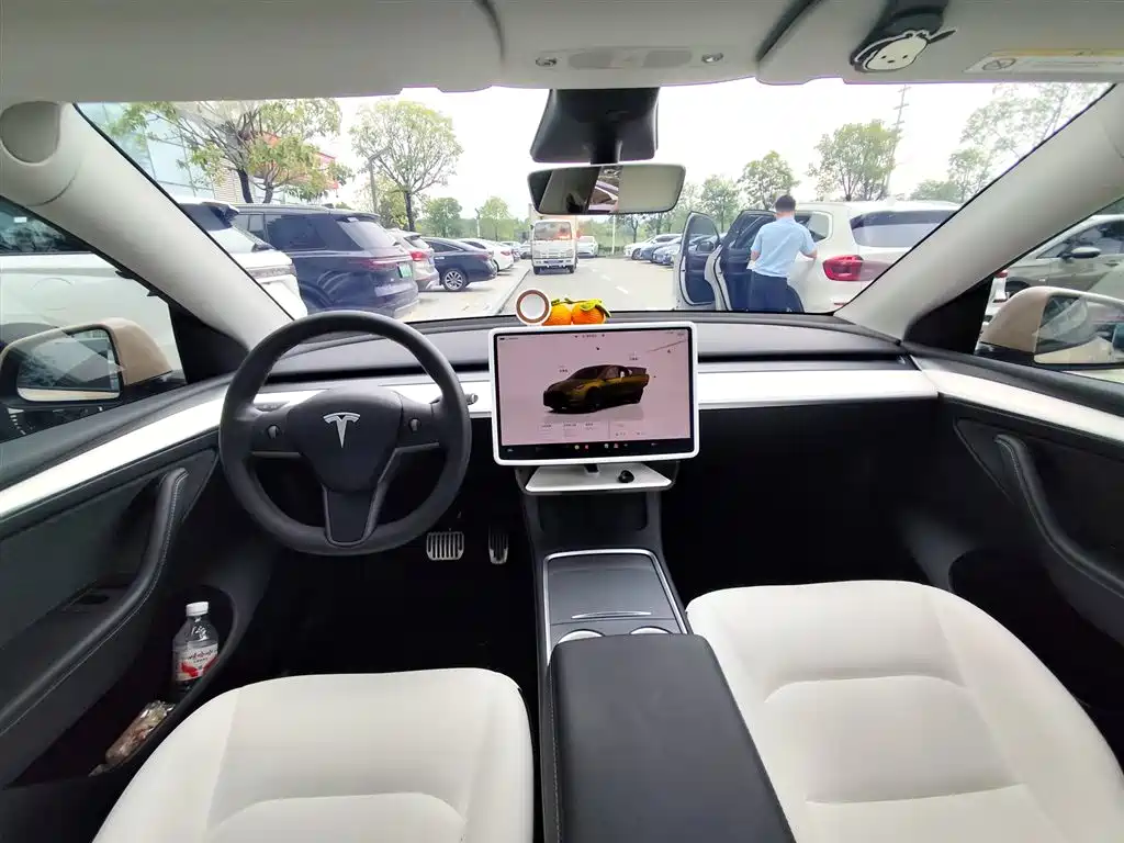 Tesla Model Y — миниатюра 5