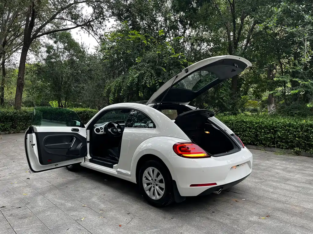 Volkswagen Beetle — миниатюра 13
