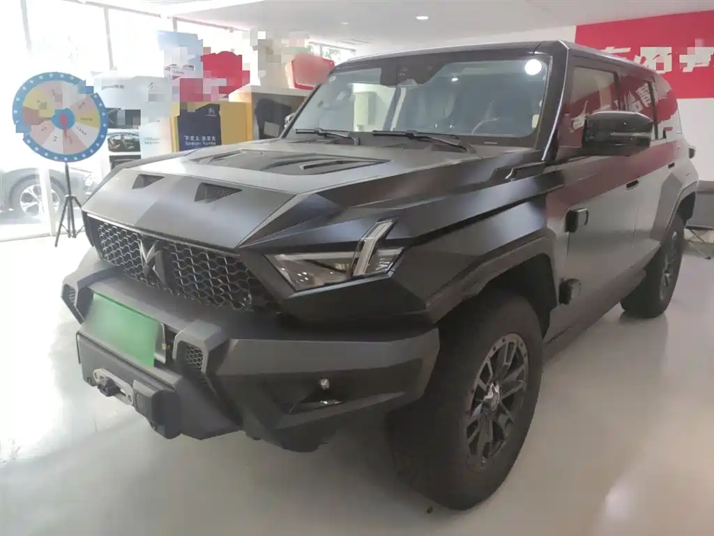 Mengshi Mengshi 917 2024