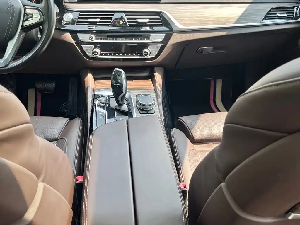 BMW 5 Series New Energy 530Le Pioneer Edition, фото 13