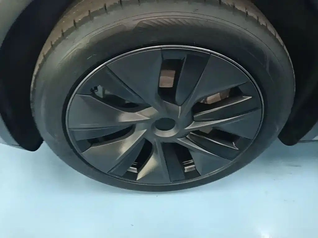 Tesla Model Y — миниатюра 23