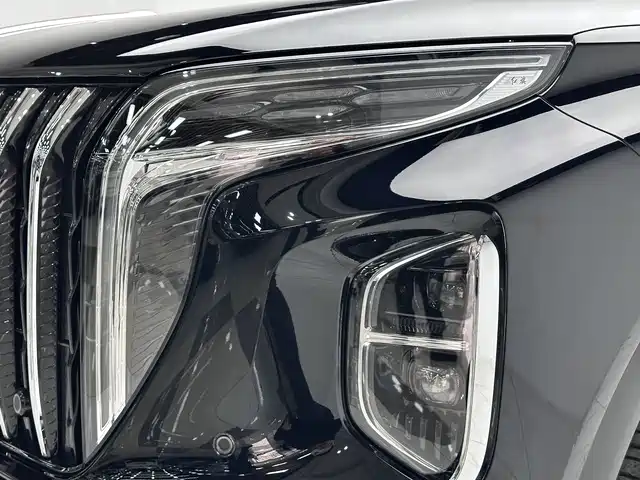 Hongqi HONGQI HS7 PHEV