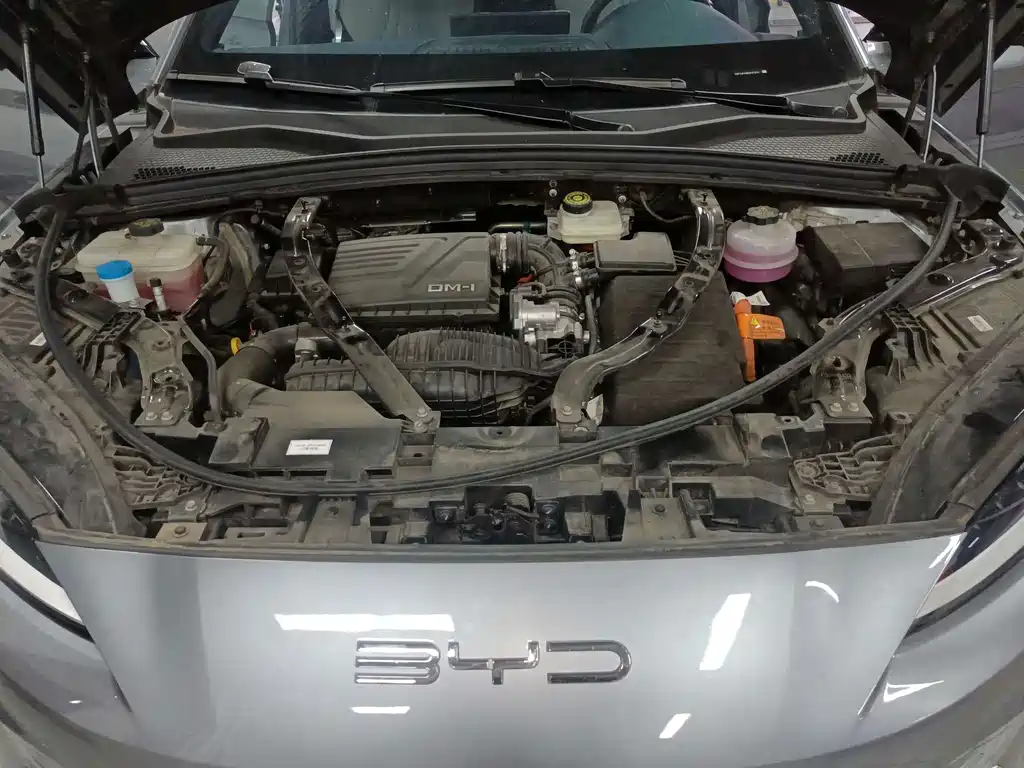 BYD PLUS New Energy — миниатюра 4