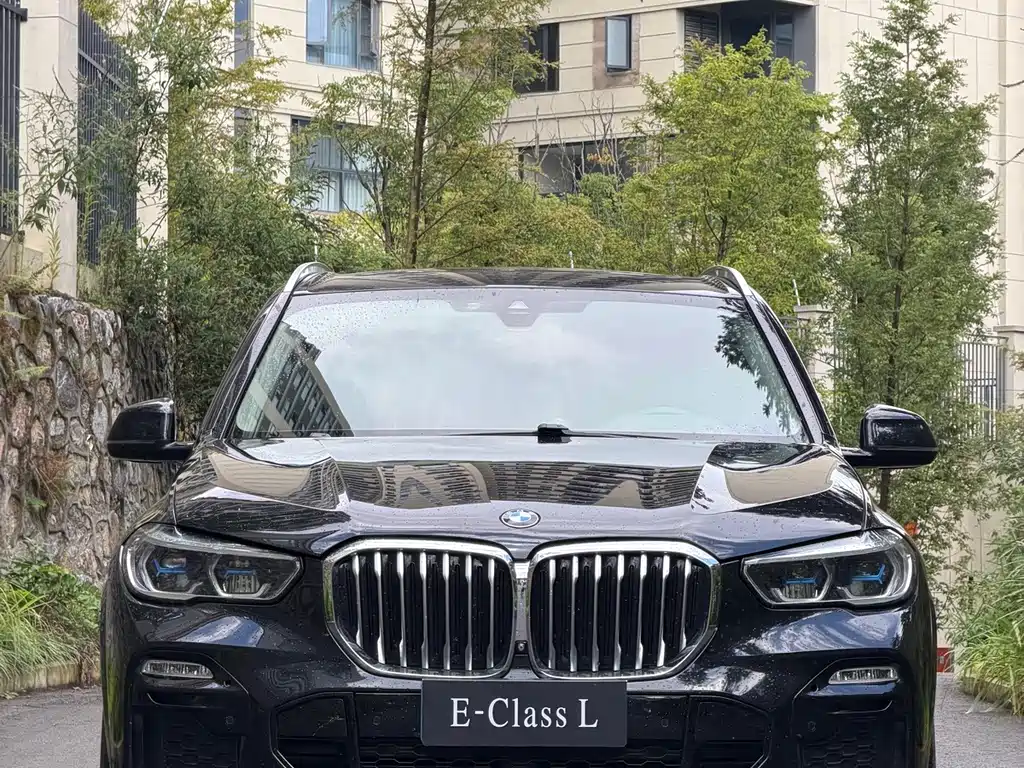 BMW X5 (Import) — миниатюра 2