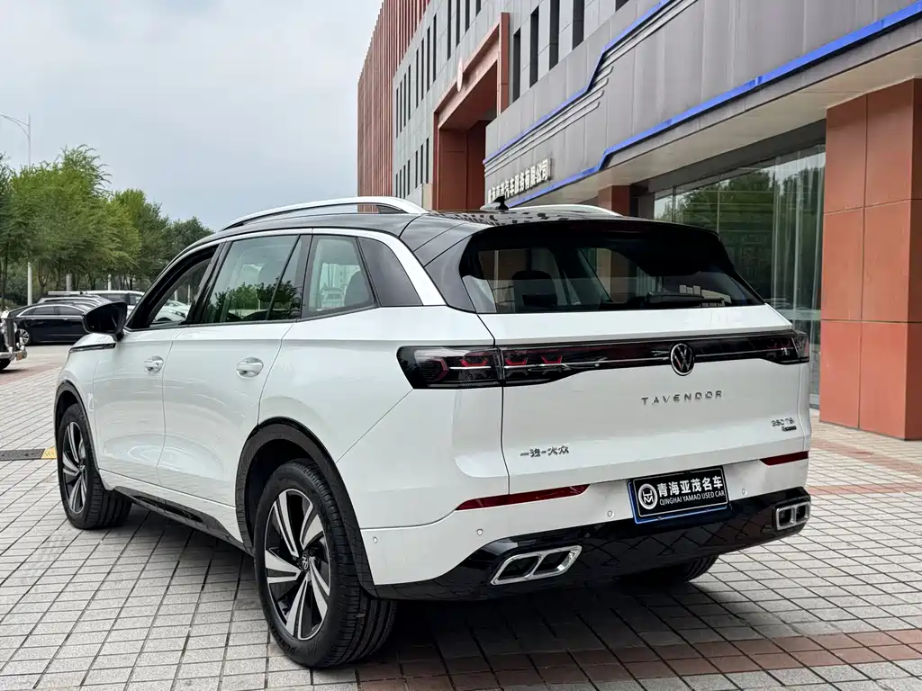 Volkswagen Tavendor — миниатюра 18