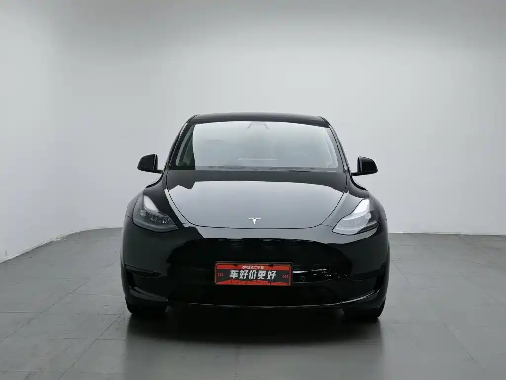 Tesla Model Y — миниатюра 3