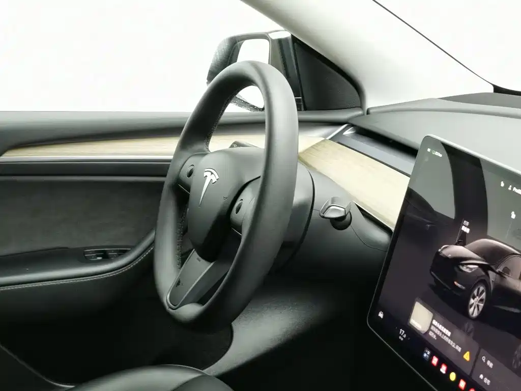 Tesla Model Y — миниатюра 22