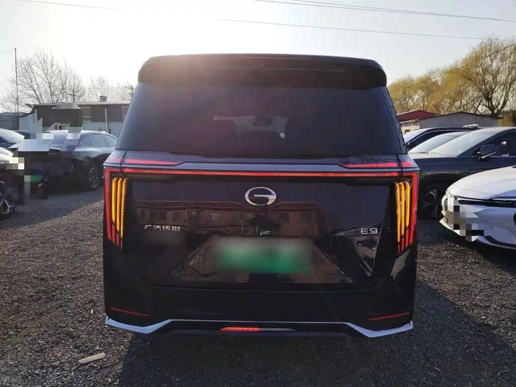 GAC E9 2023 E9 MAX
