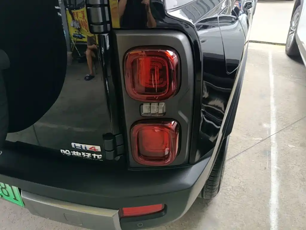 Haval Menglong New Energy — миниатюра 8