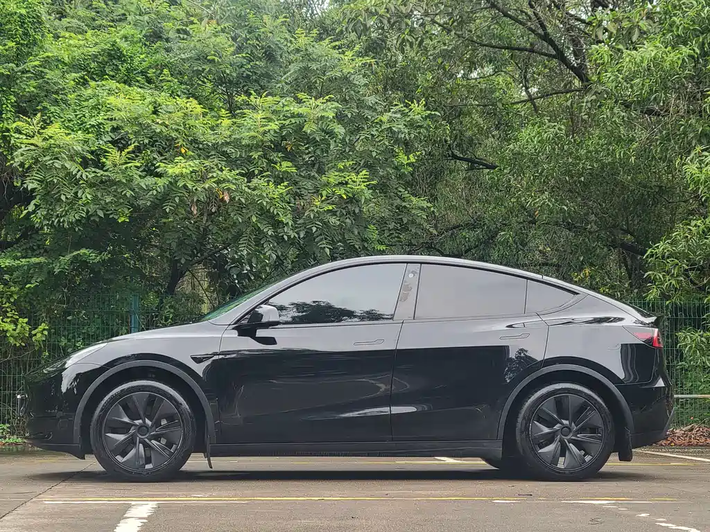 Tesla Model Y — миниатюра 7