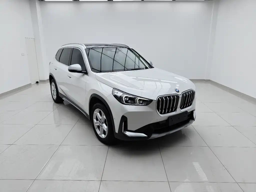 BMW X1 — миниатюра 2