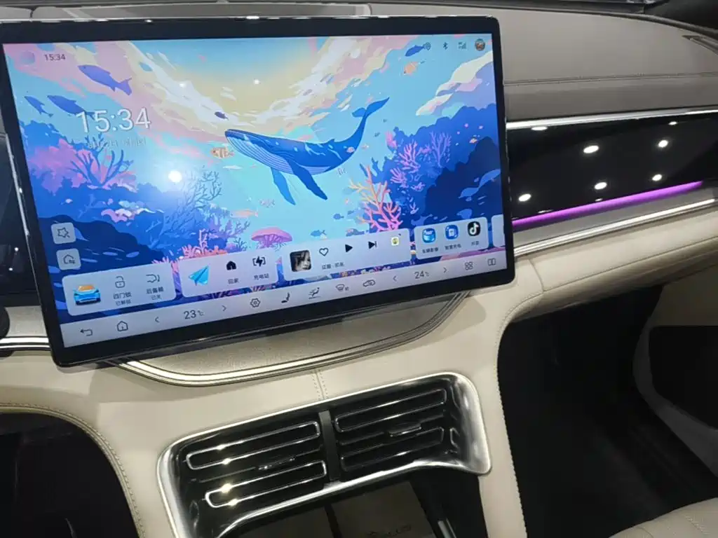 BYD PLUS New Energy — миниатюра 13