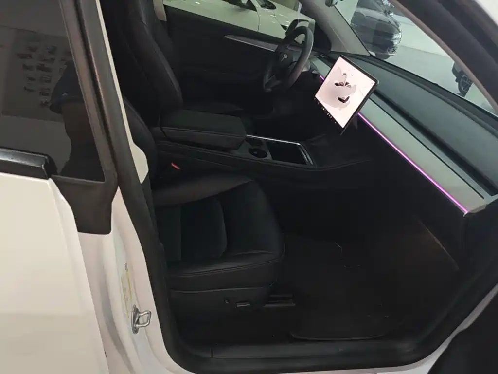 Tesla Model Y — миниатюра 25