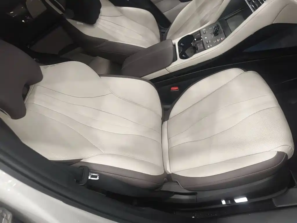 BYD PLUS New Energy — миниатюра 25
