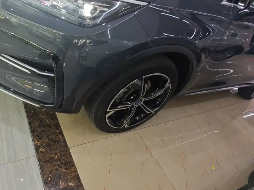BYD Tang New Energy — миниатюра 23