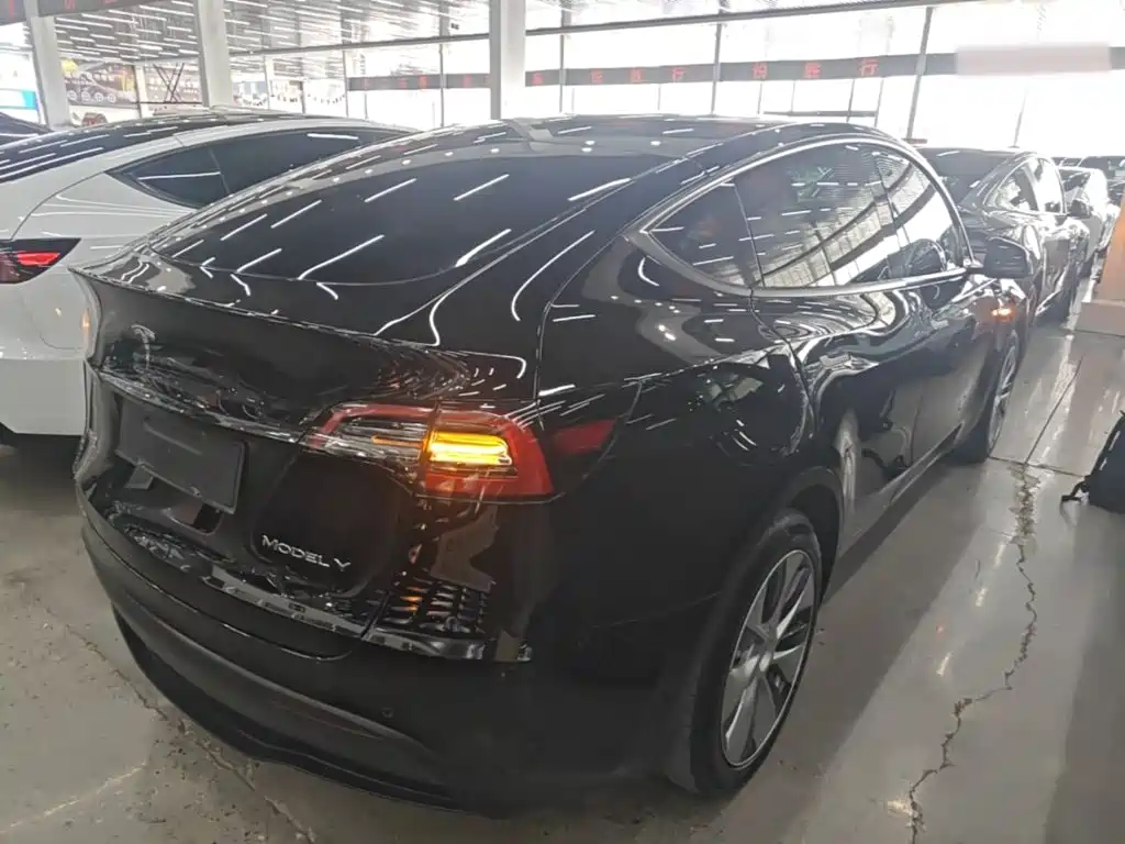 Tesla Model Y — миниатюра 5