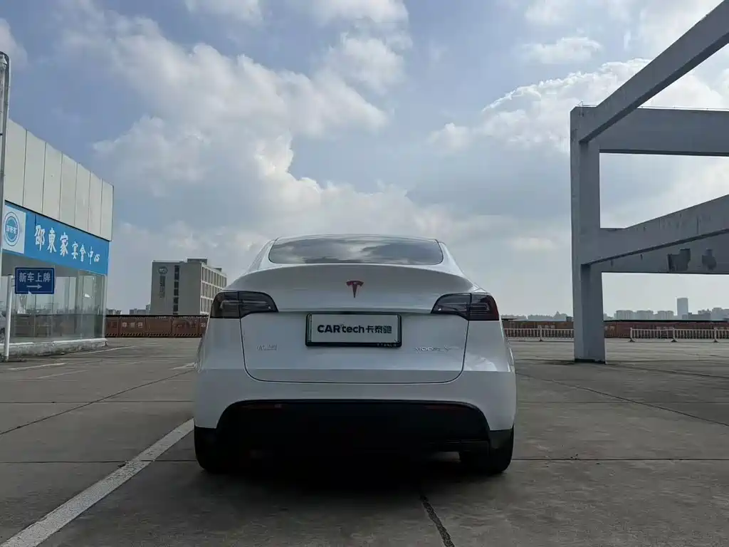 Tesla Model Y — миниатюра 8