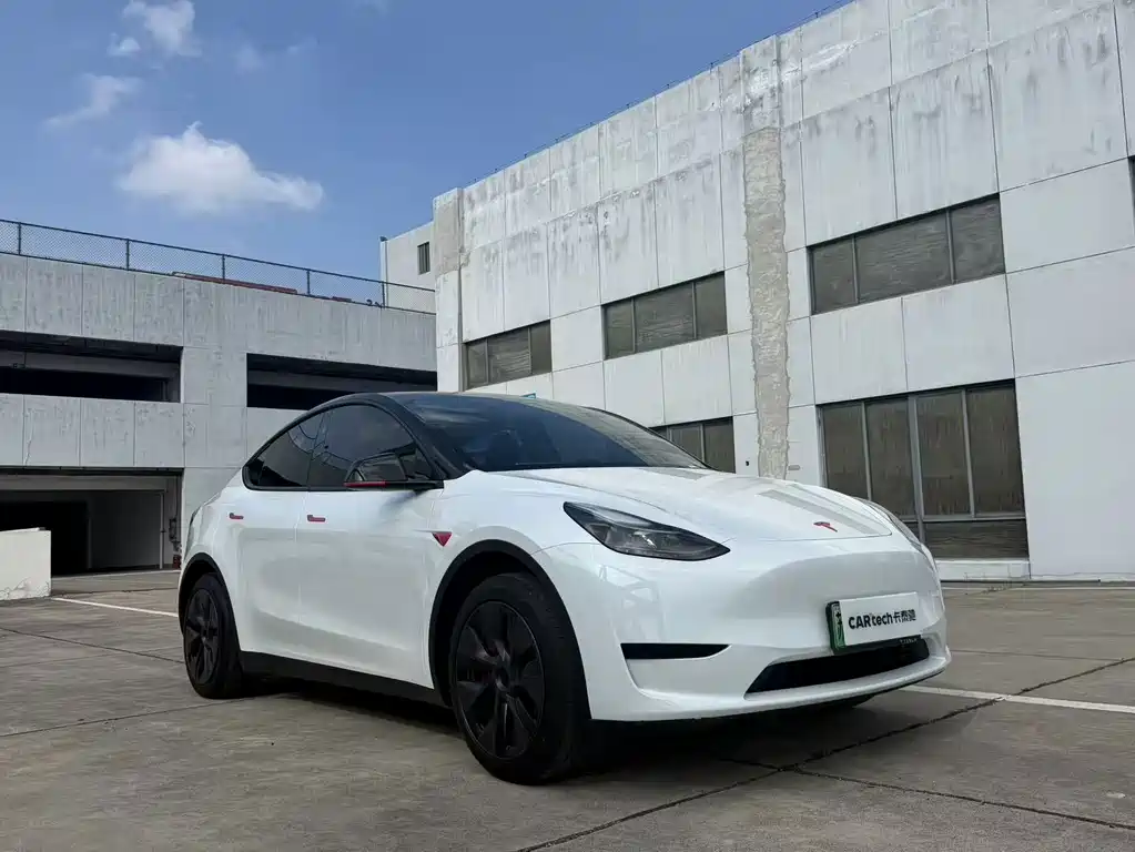 Tesla Model Y — миниатюра 3