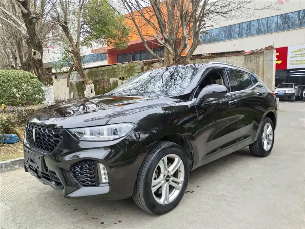 Wey Wey VV5 2019