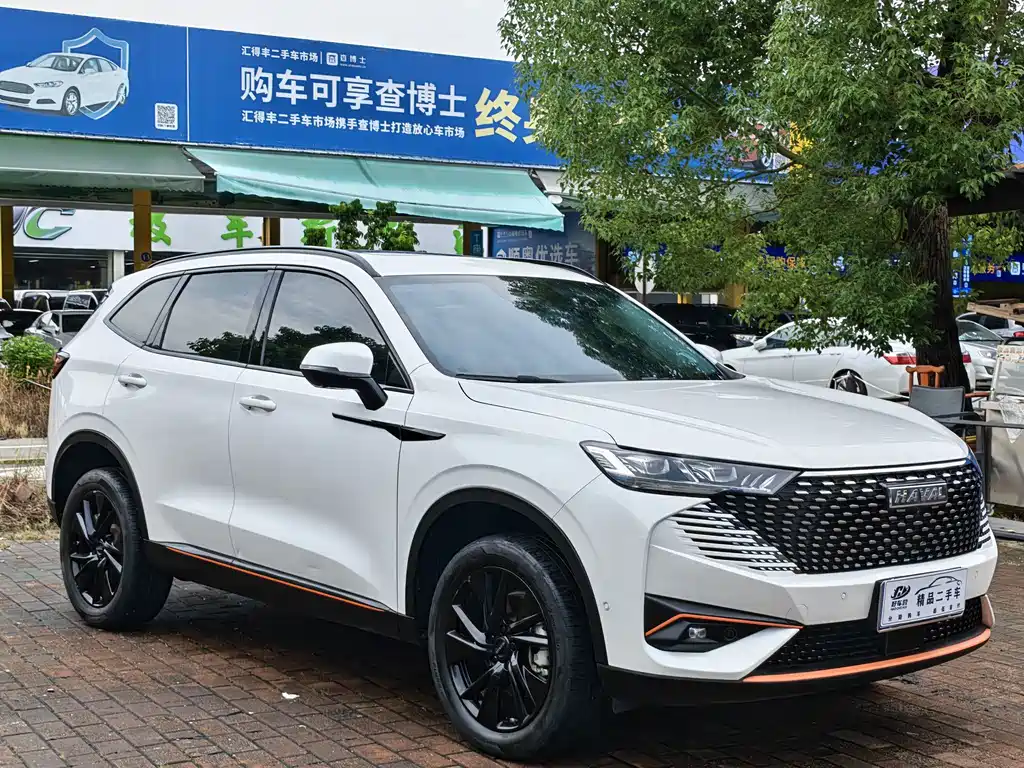 Haval H6 — миниатюра 3
