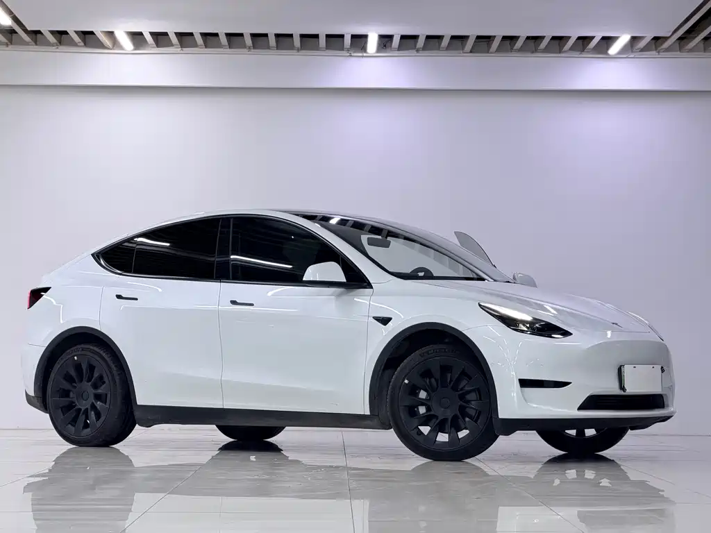 Tesla Model Y — миниатюра 3
