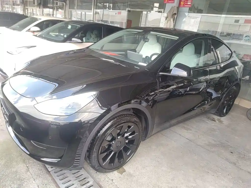Tesla Model Y — миниатюра 2