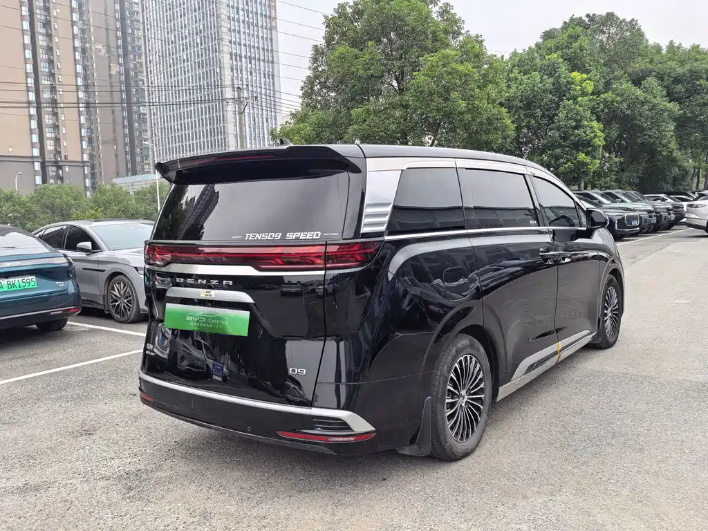 Denza Denza D9 — миниатюра 11